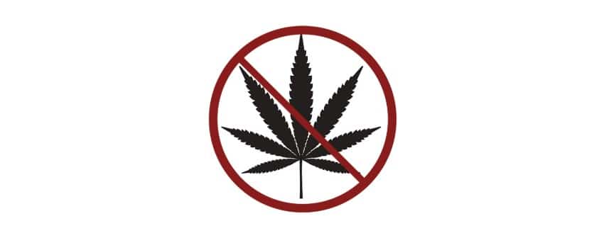 UMASS has to ban marijuana use on campus