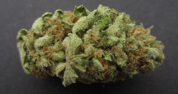 Alchemy Medical