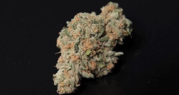 ArcticBlue Medical