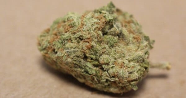Blackberry Diesel