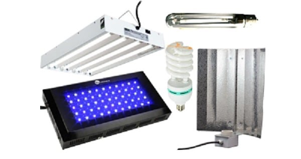 Cheap grow lights