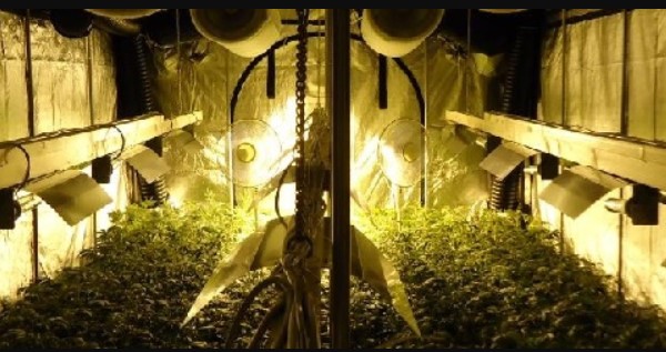 Cheap grow tents