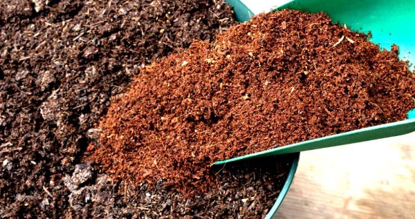 Coco Coir different than soil