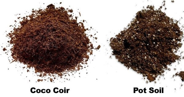 Coco Coir