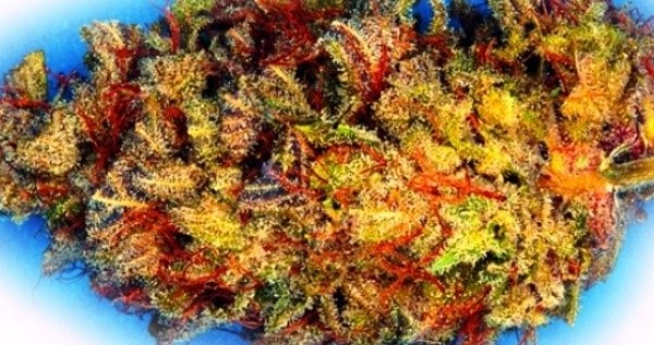 Electric Kool Aid Effects