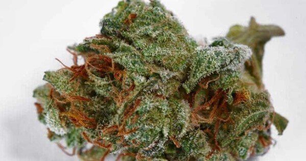 Electric Kool Aid Medical