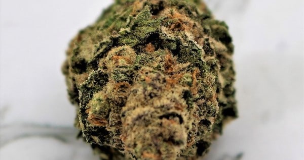 Electric Kool Aid
