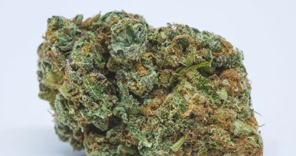 Electric Lemon G