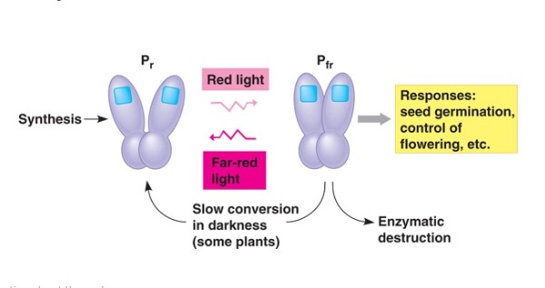 Explenation about the cycle