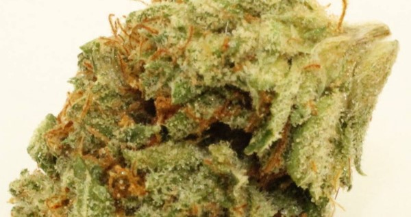 Firewalker OG