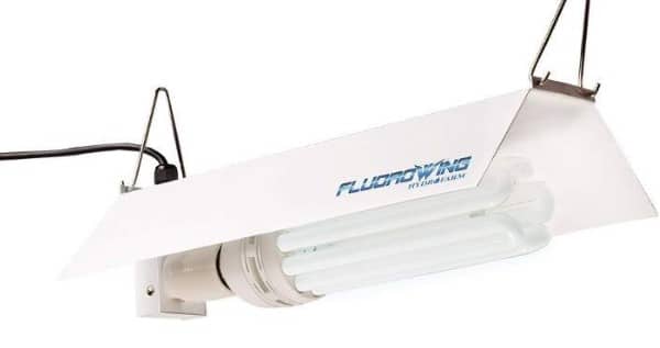 Fluorescent System