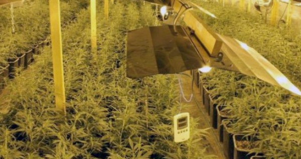 Grow room requirements