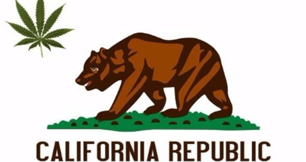 How To Become A Trimmer Or Budtender In California