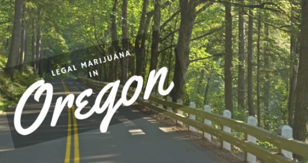 How To Get A Trimmer Or Budtender Job In Oregon