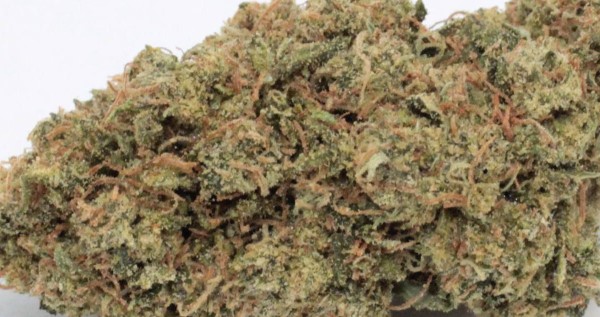 Island Maui Haze