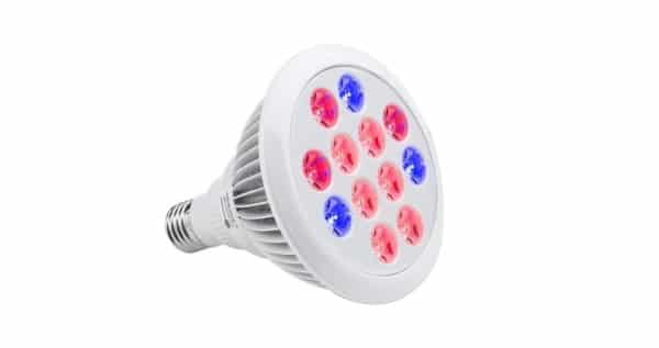 LED Plant Grow Light