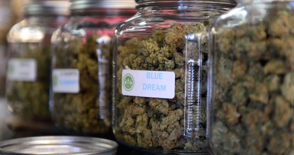 Legal requirements to become a budtender in Washington
