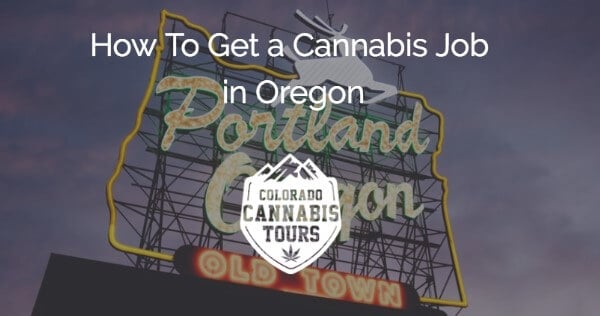 Legal requirements to become a trimmer or budtender in Oregon