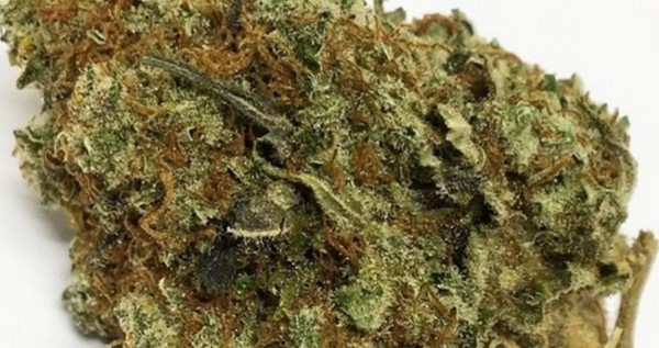 Purple Tangie Adverse Reaction