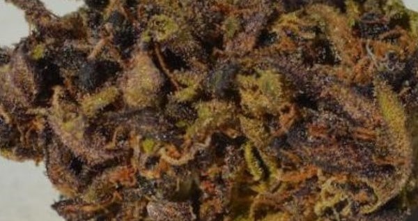 Sexxpot Adverse Reaction