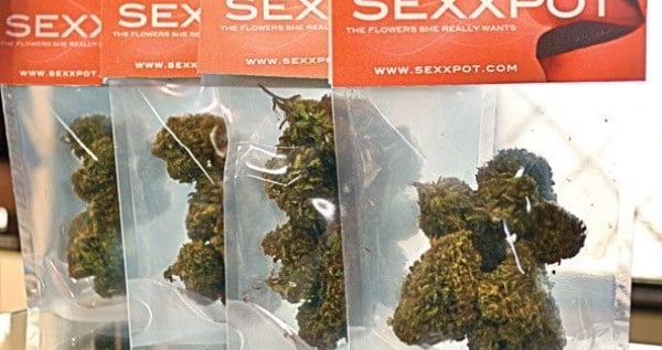 Sexxpot Effects
