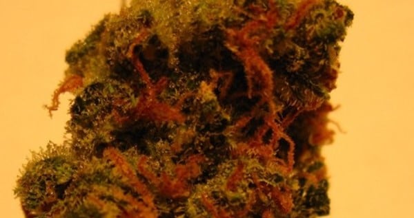 Super Chronic Medical
