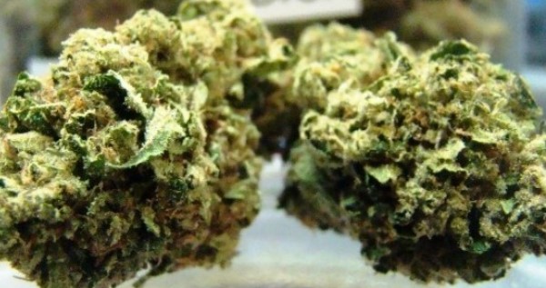 Super Chronic
