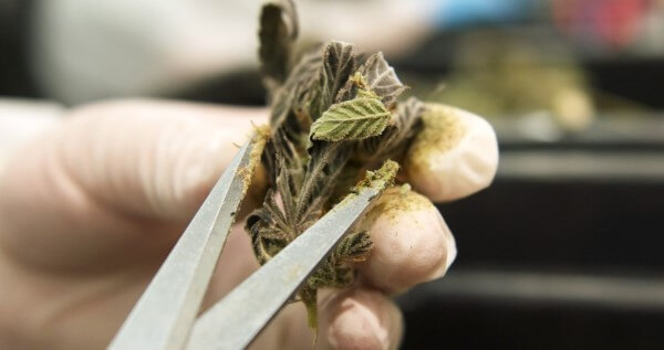 Trimming