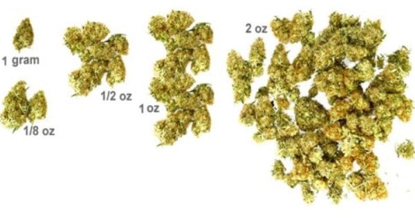 Recognize Marijuana Grams Eighths Quarters Halves And More ILGM