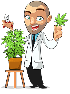 grow guides