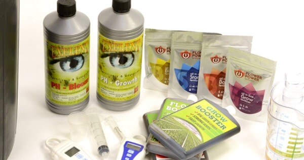 Fertilizers for growing your plants