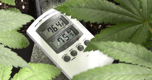 Important environmental factors Temerature & Humidity