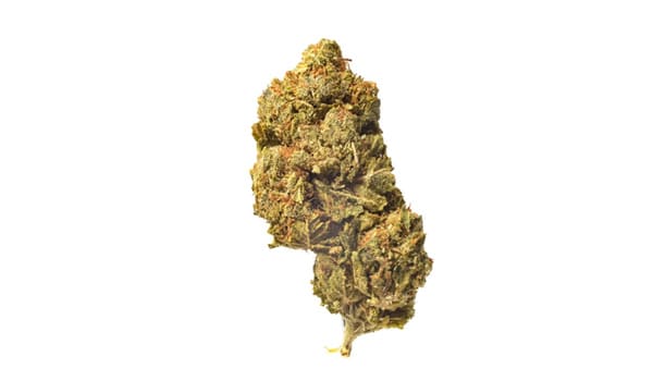 Titans Haze Strain Effects