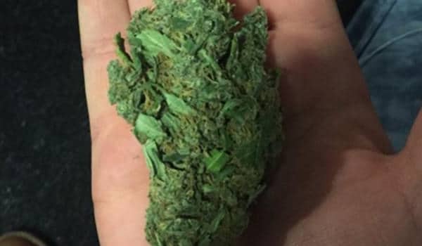White Smurf Strain Effects