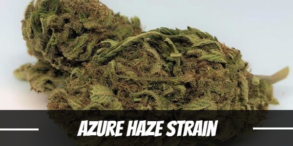 Azure Haze Strain