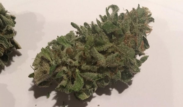 Azure Haze Strain Medical