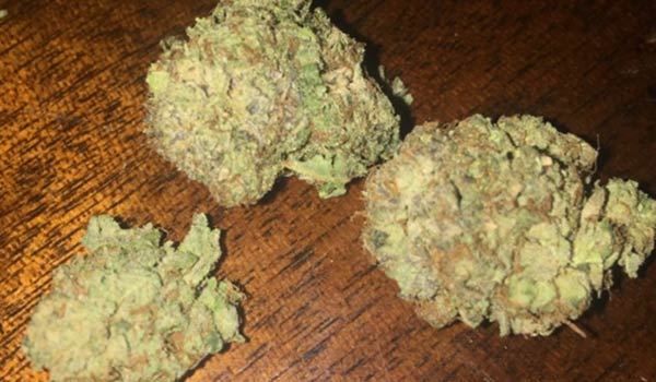 Blaze Strain Effects