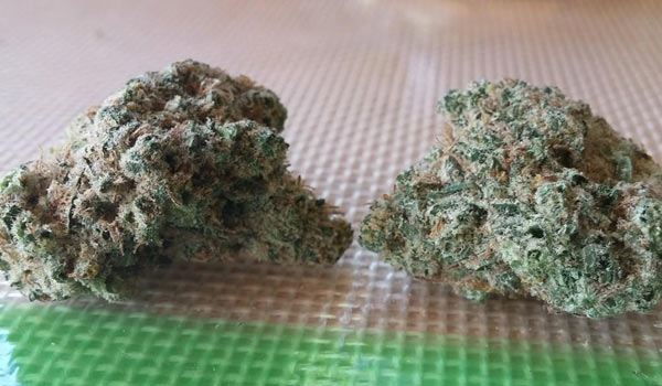 Dutchberry Strain Medical