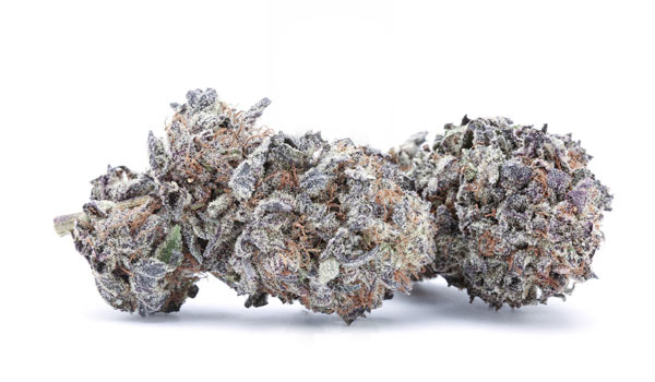 Electric Black Mamba Strain Effects