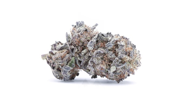 Electric Black Mamba Strain Medical