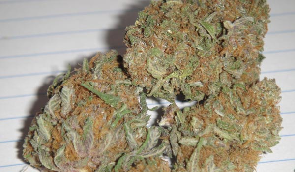 Killer Grape Strain Effects