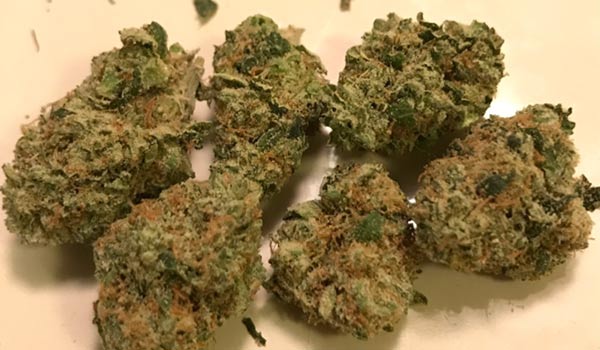 Madman OG Strain Effects