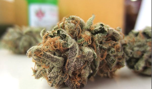 Madman OG Strain Medical