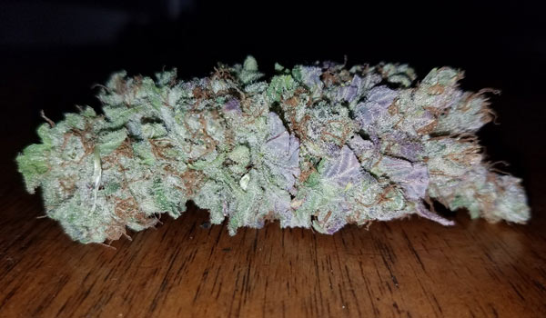 Medicine Woman Strain Reactions
