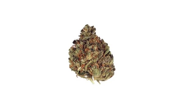 Purple Headband Strain Medical