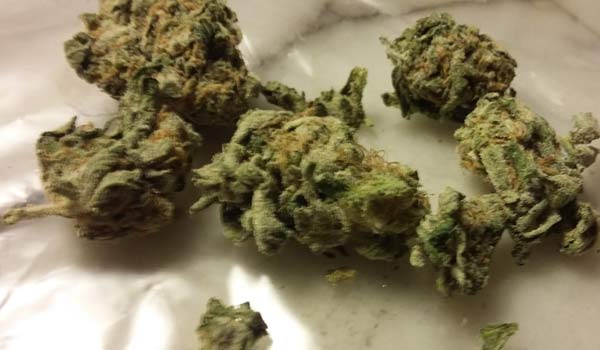 Sweet Jane Strain Effects