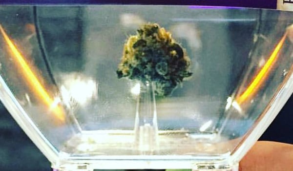 Travel Joint Strain Growing