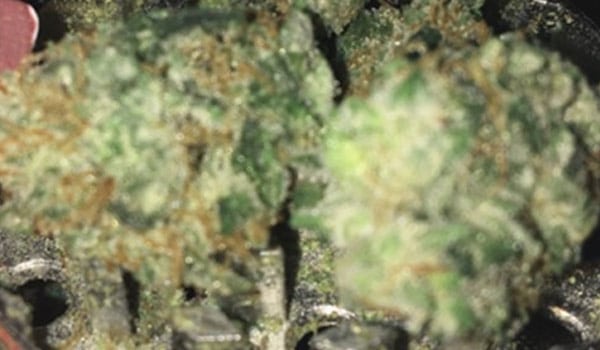 Travel Joint Strain Medical