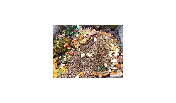 how to compost for outdoor marijuana