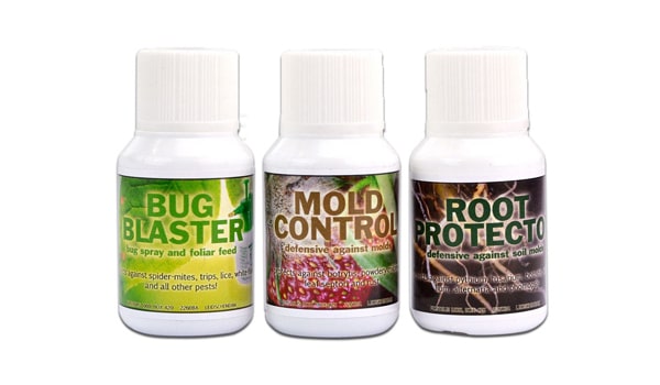 mold control cannabis